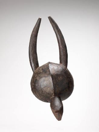 Helmet Mask
