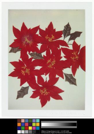 © Andy Warhol Foundation for the Visual Arts/ARS, New York