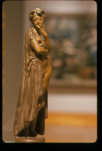 Female Nude with Cloak