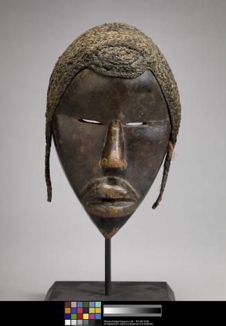 Dan Mask (Possibly Deangle Mask)