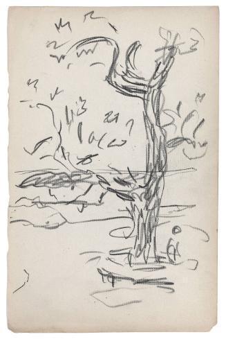 © Williams College Museum of Art, Williamstown, MA
Please contact the museum for permissions