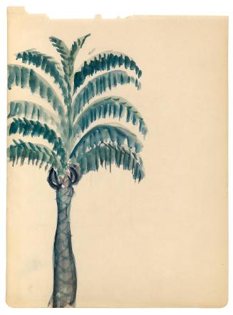 © Williams College Museum of Art, Williamstown, MA
Please contact the museum for permissions
