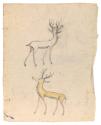 © Williams College Museum of Art, Williamstown, MA
Please contact the museum for permissions