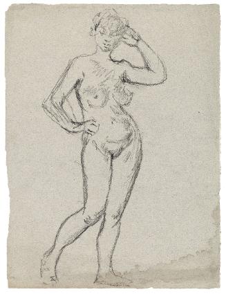 © Williams College Museum of Art, Williamstown, MA
Please contact the museum for permissions