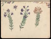 © Williams College Museum of Art, Williamstown, MA
Please contact the museum for permissions