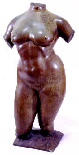 Torso