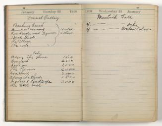 Diary