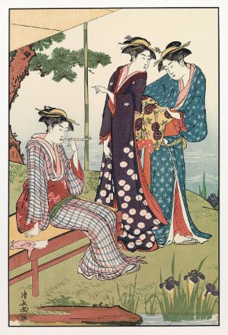 By An Iris Pond