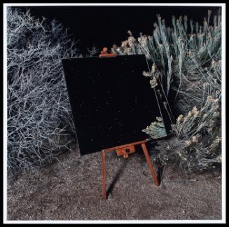 Porcupine Wash from the series The Edge Effect