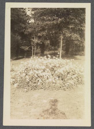 Series of gardens at Crooked Mile Road, Westport, CT including bird bath created by Charles Prendergast; garden