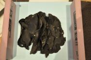 © Marsie, Emanuelle, Damon, and Andrew Scharlatt, Hannah Wilke Collection & Archive, Los Angele…