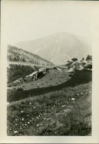 1927-1929 series of Eugénie and Charles Prendergast and Vankemmel family members in France; countryside