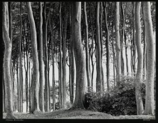 Normandie