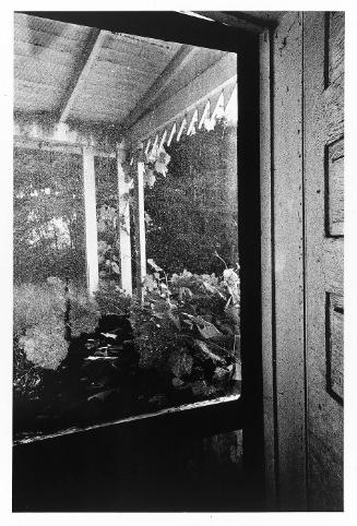 Doorway/Porch (from "Somnambulist")