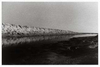 Landscape, Beach (from "Somnambulist")