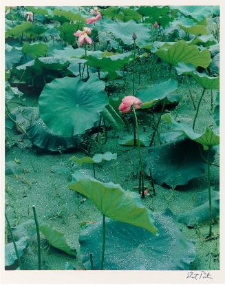 © 1990 Amon Carter Museum, Fort Worth, Texas