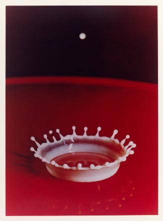 Milk Drop Coronet, 1957 (from "Ten Dye Transfer Photographs")