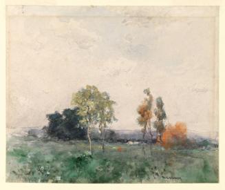 Trees in a Meadow