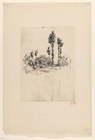 Unfinished Landscape