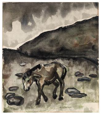 Donkey in a Landscape