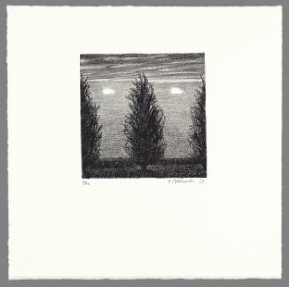 Untitled (from "Artists' Impressions")