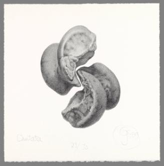 Cantata (from "Artists' Impressions")