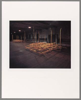 Indoor Sculpture (from "The Ritual Series")