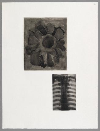 Untitled (from "Fourteen Etchings")