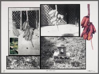 Bananas (from "2009: America America")