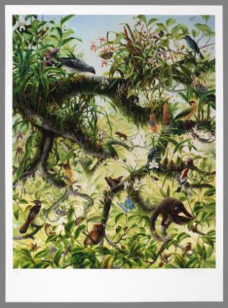Canopy (from "2011: SEA (Social Environmental Aesthetics)")