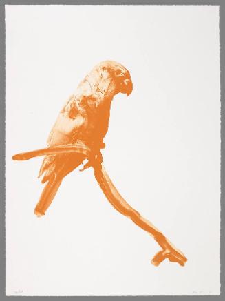 Iguaca (from "2011: SEA (Social Environmental Aesthetics)")