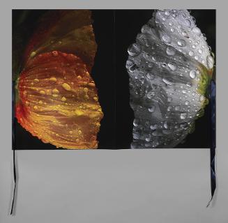 Flowers are Butterflies [cover print] (from "2011: SEA (Social Environmental Aesthetics)")