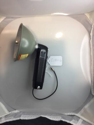 Flash lamp
