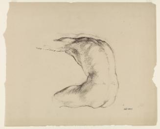 Study of a Male Torso