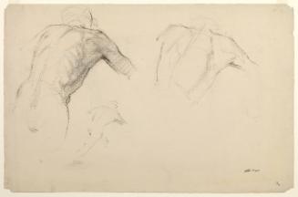 Studies of a Male Torso