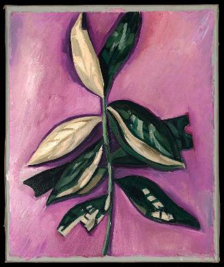 Leaves