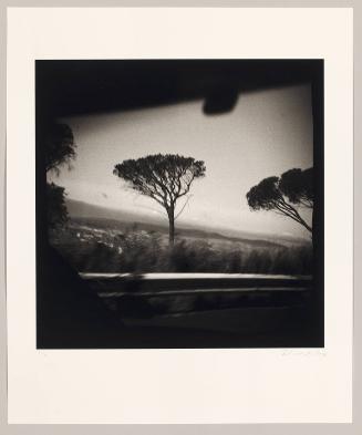 verge (from the series reShooting Diana)