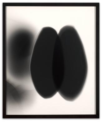 Untitled #68 from the series Haptic Wonders