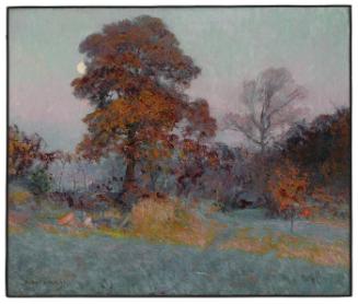 Frosty Morning