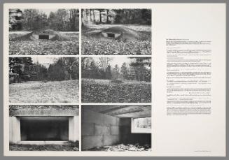 The Williams College Project