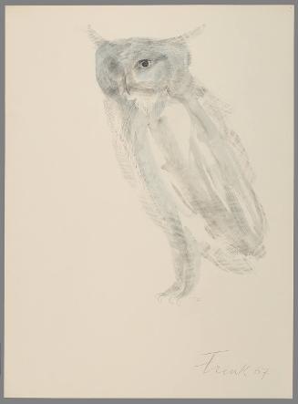 Untitled (Study of an Owl)
