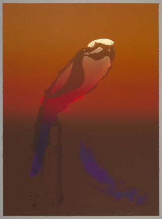 Acoma Hawk I