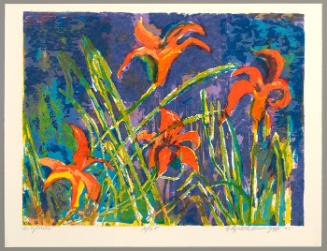 Daylilies