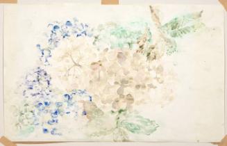 Hydrangea I