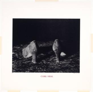 Cure/Heal (from "10: Artist as Catalyst")