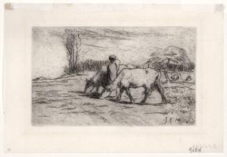 Two Cows