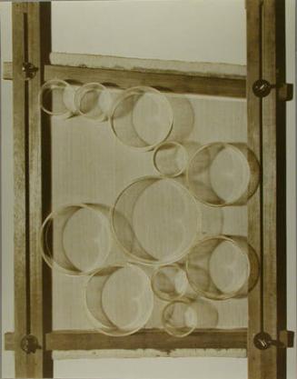 Booby Trap (from "Elastic Membrane")