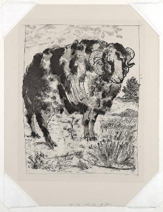 Ram (from Buffon's "Histoire Naturelle")