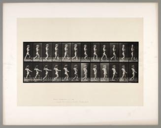 Animal Locomotion, Plate #540