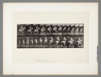 Animal Locomotion, Plate #646